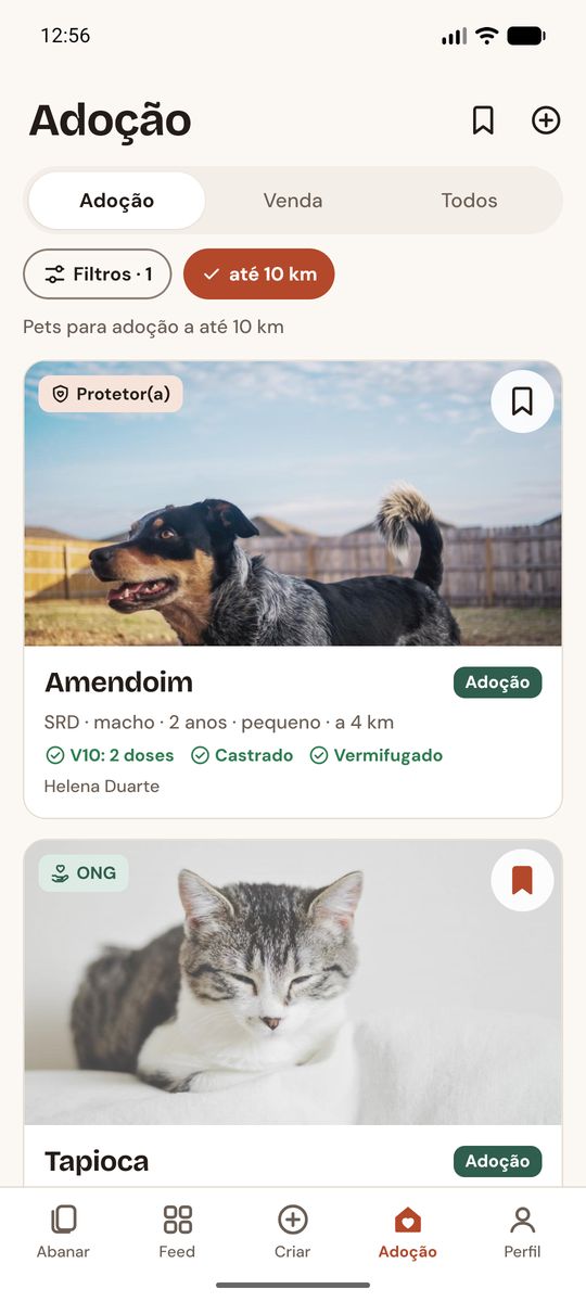 Adoção com ficha de saúde